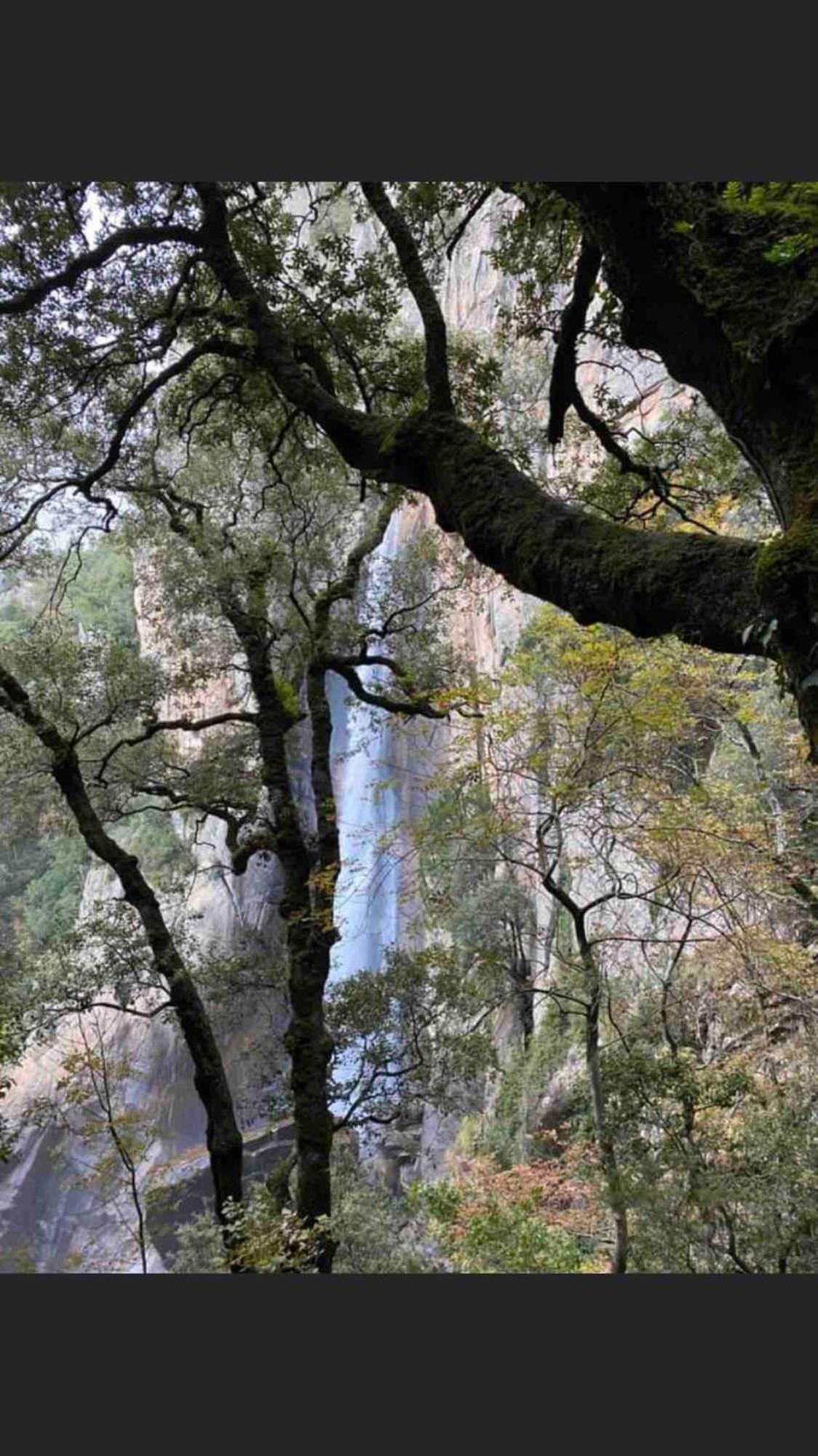 Sud-Corse Bavella Location Montagne Et Mer Sorbollano Екстериор снимка
